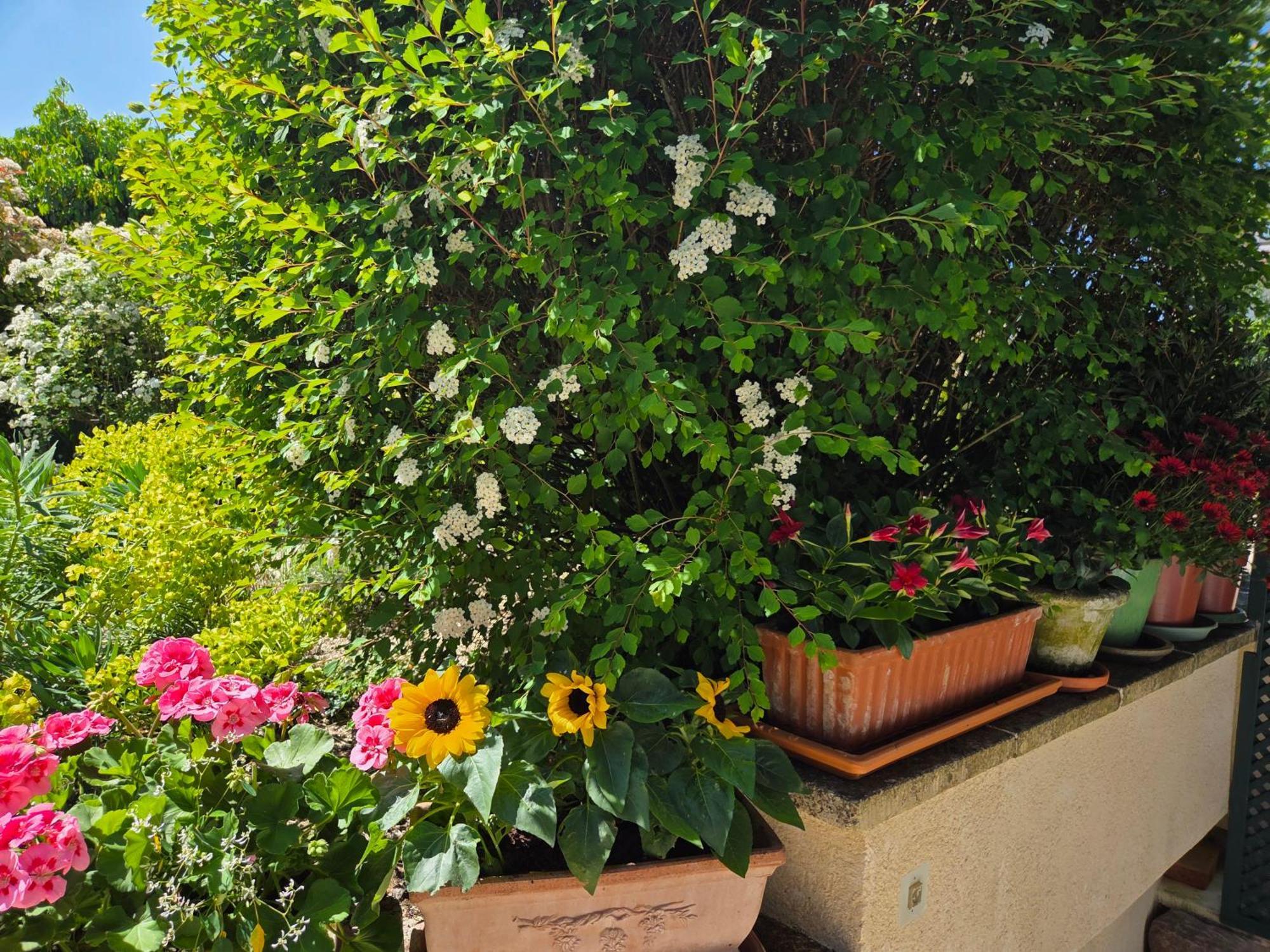 Clair Logis Vila Giverny Exterior foto